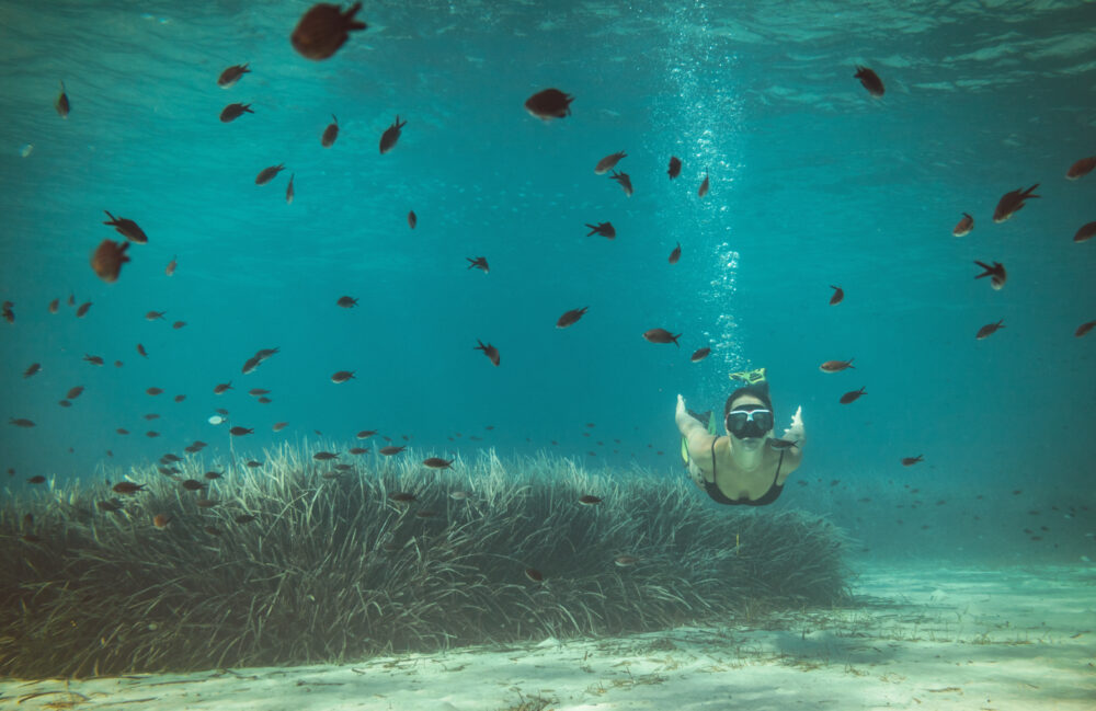 Freediving