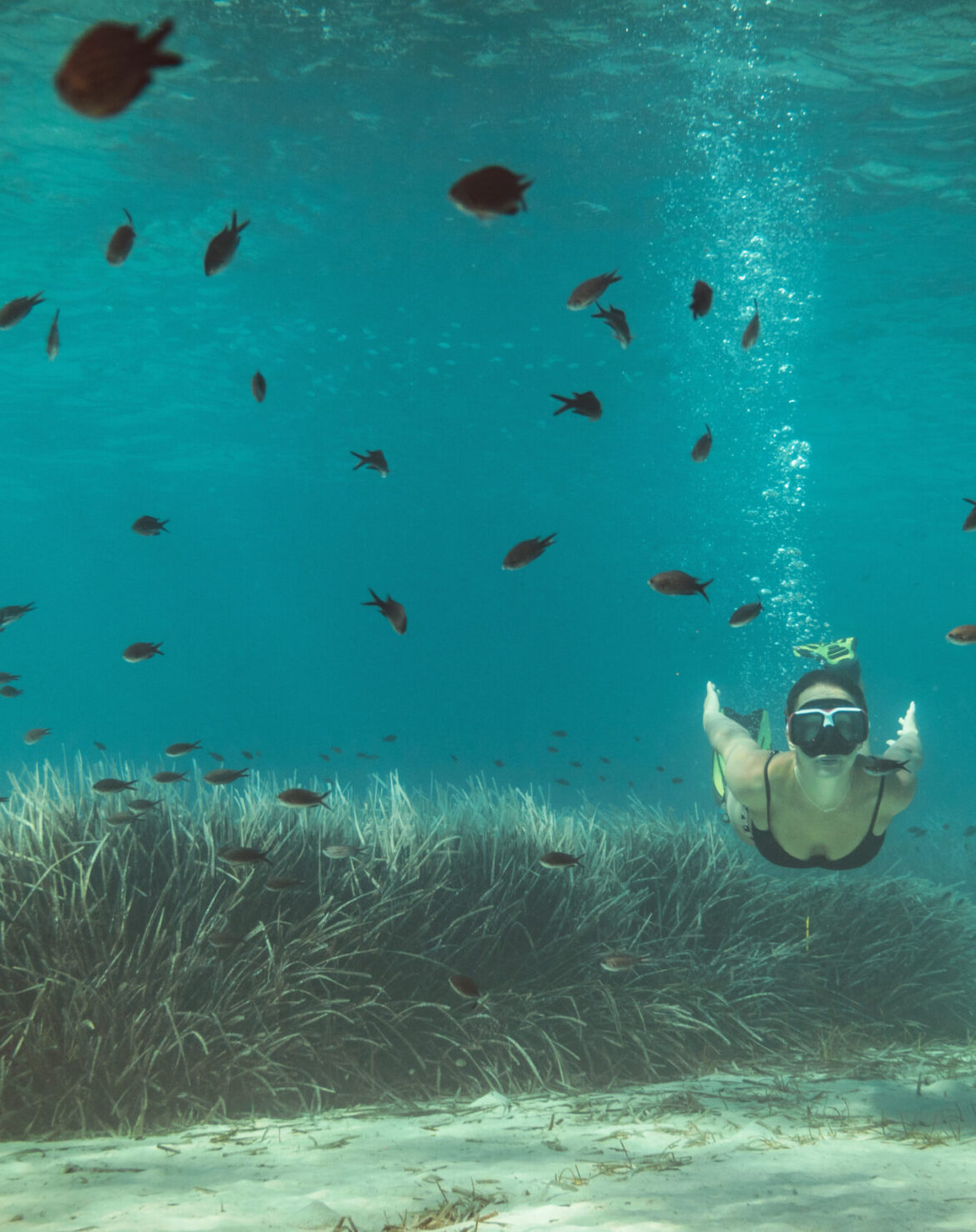 Freediving